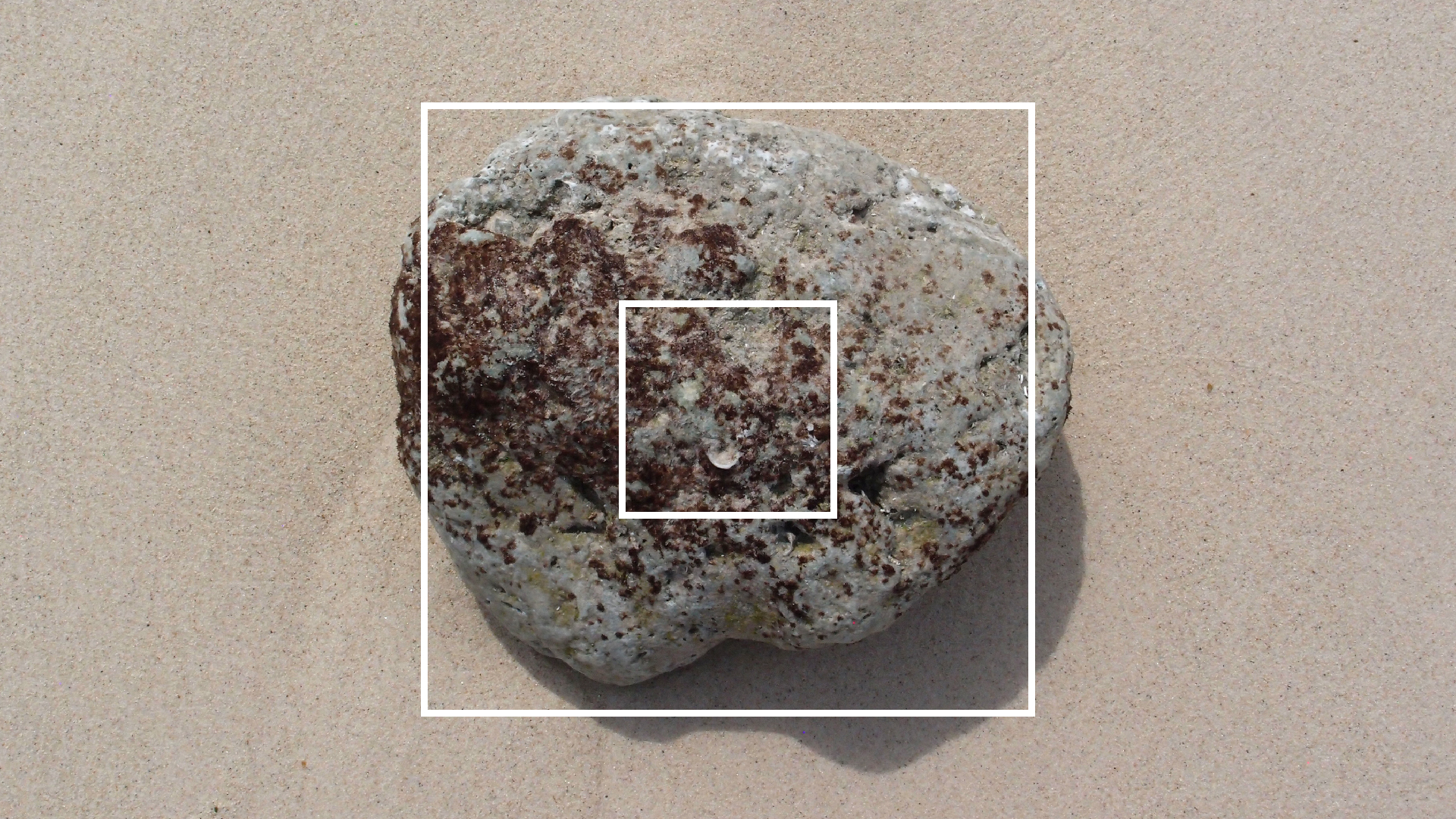 2022-04-15 Grote Knipp (am Strand und im Wasser) (Foto, Video)